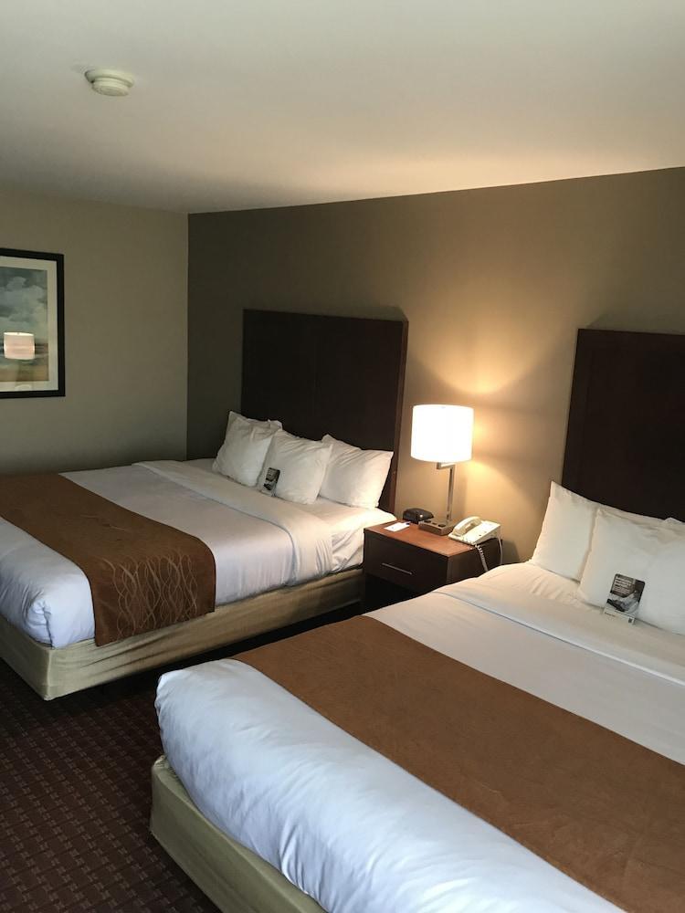 Comfort Inn Silicon Valley East Фримонт Екстериор снимка