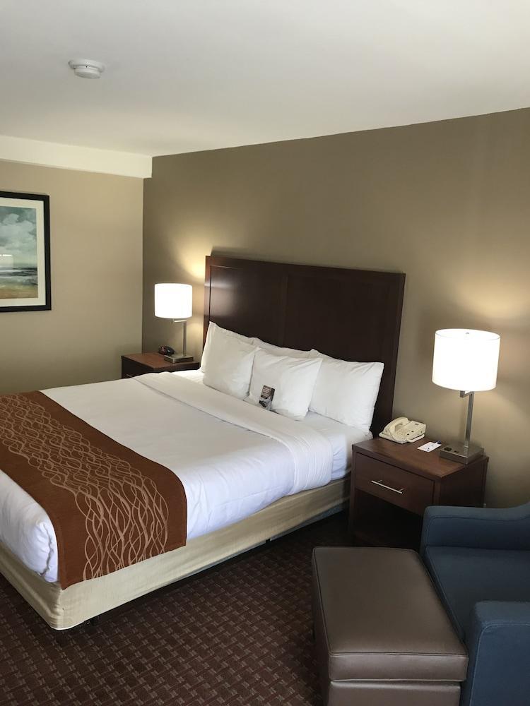 Comfort Inn Silicon Valley East Фримонт Екстериор снимка