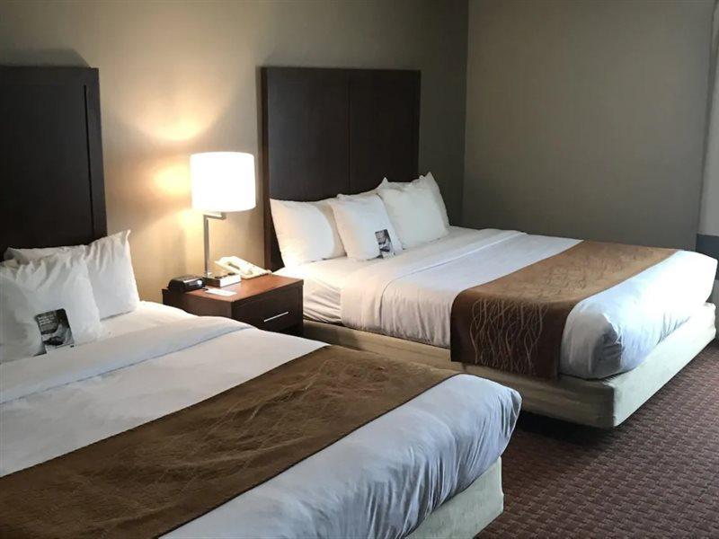 Comfort Inn Silicon Valley East Фримонт Екстериор снимка