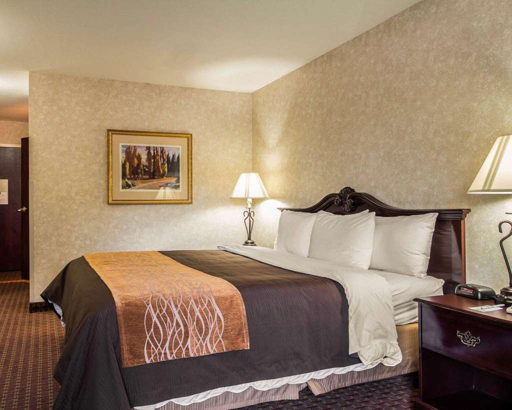 Comfort Inn Silicon Valley East Фримонт Стая снимка