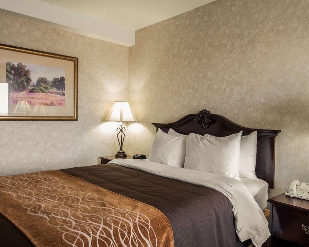 Comfort Inn Silicon Valley East Фримонт Стая снимка