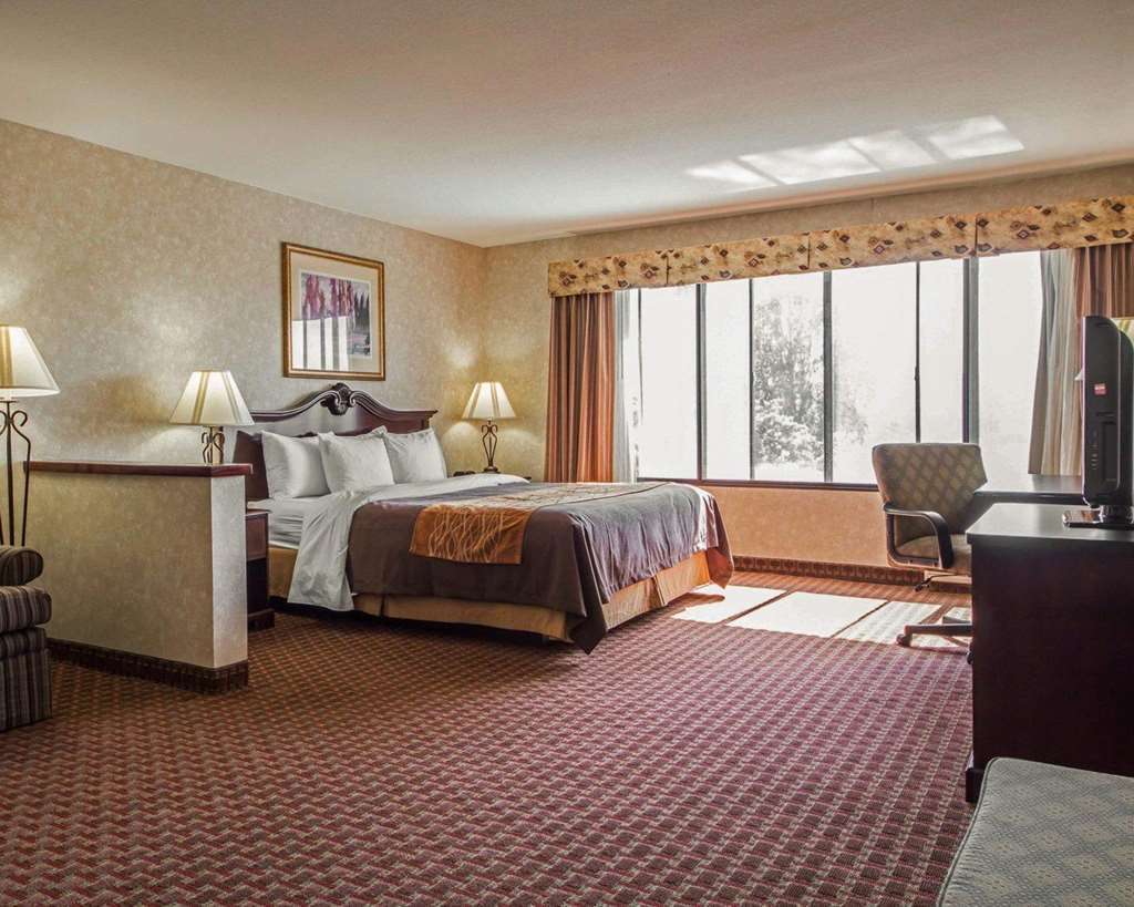 Comfort Inn Silicon Valley East Фримонт Стая снимка